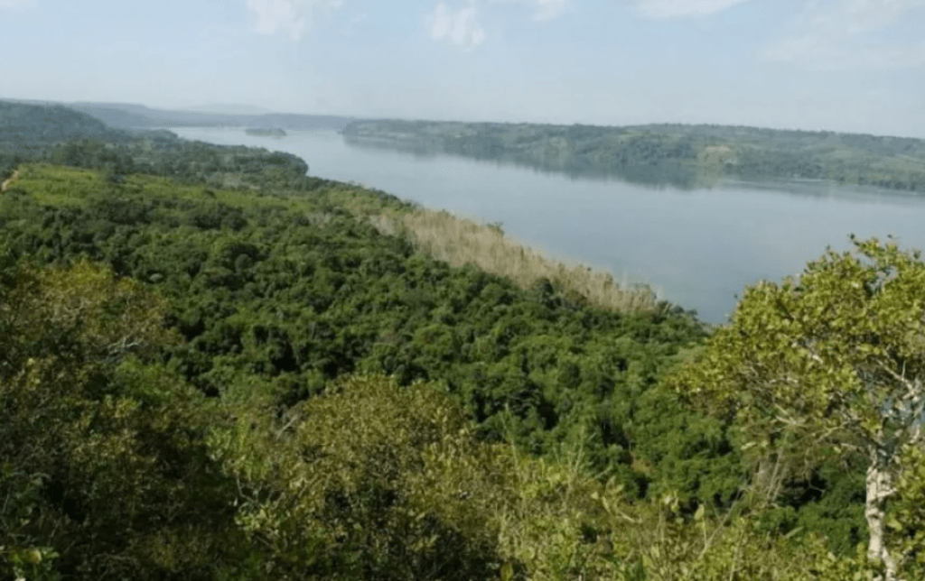 Misiones inaugura el primer Biobanco de biodiversidad del&nbsp;país