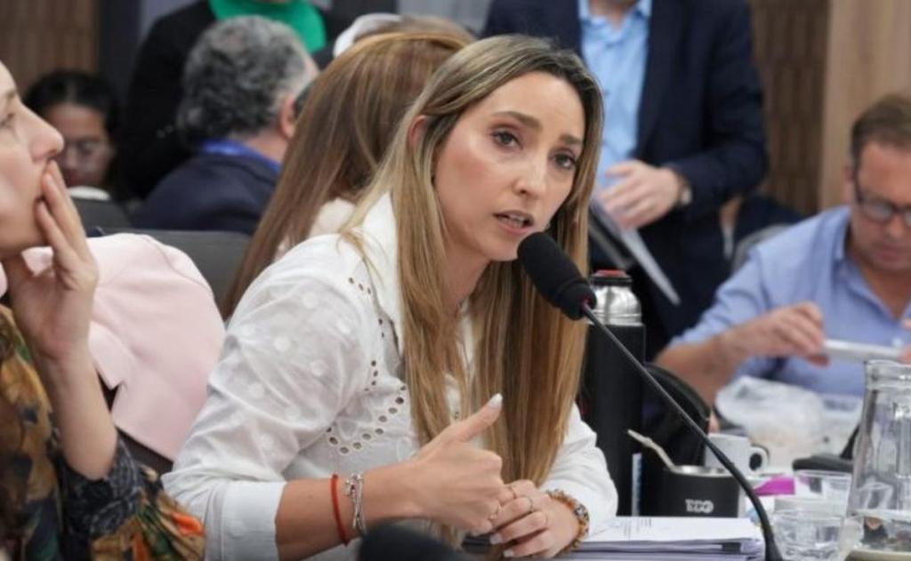 Strada cuestionó el tratamiento del acuerdo Mercosur-UE y anunció su abstención en el&nbsp;Congreso