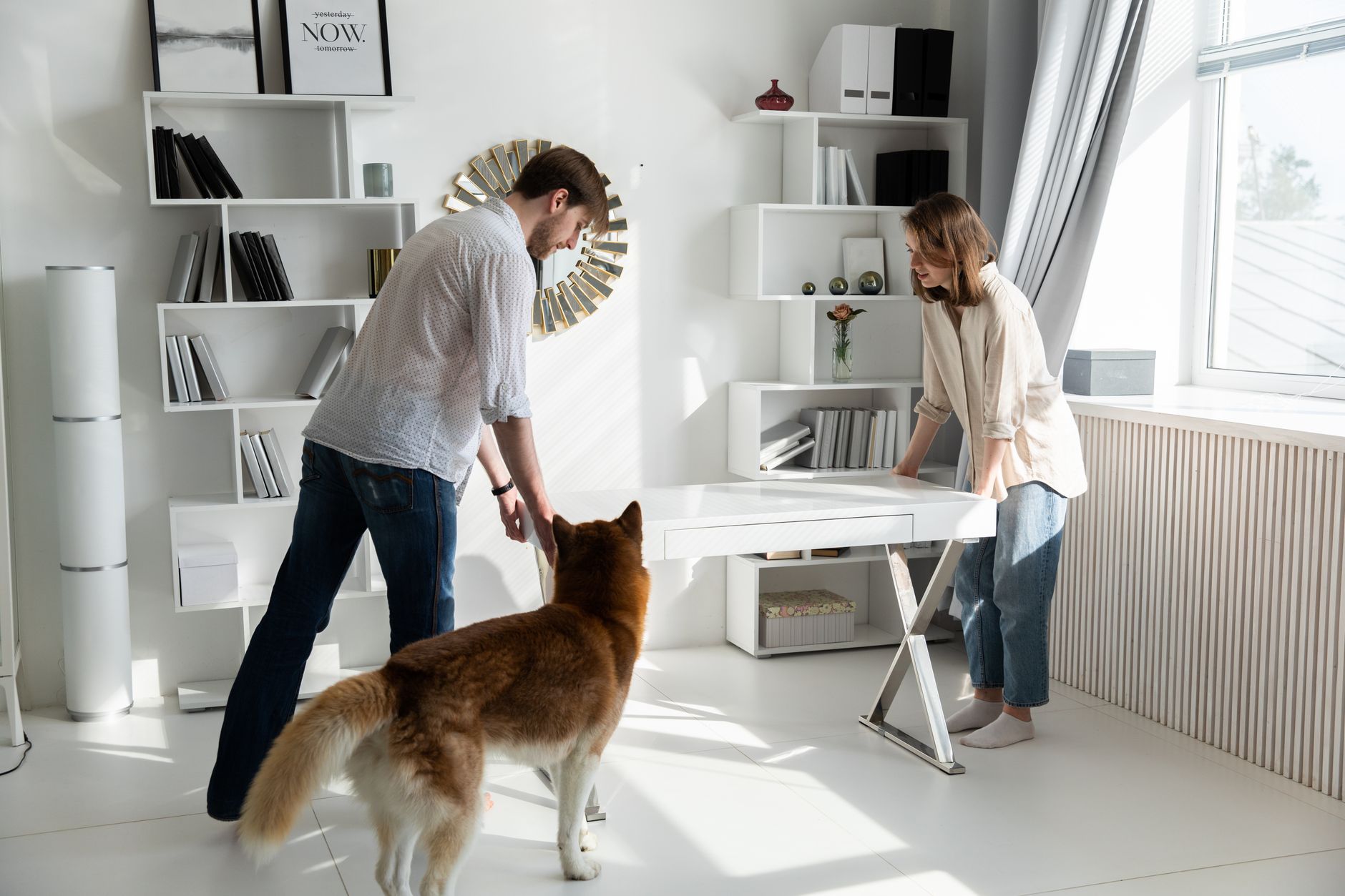 Alquiler con mascotas en Buenos Aires: Palermo Hollywood lidera la oferta pet-friendly